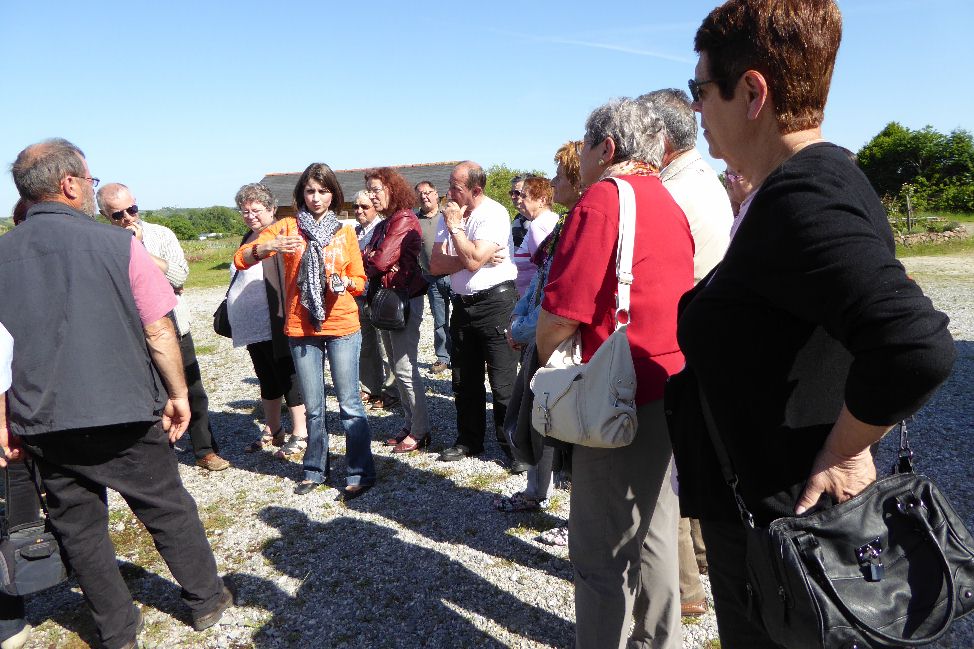 Accueil près des vignes